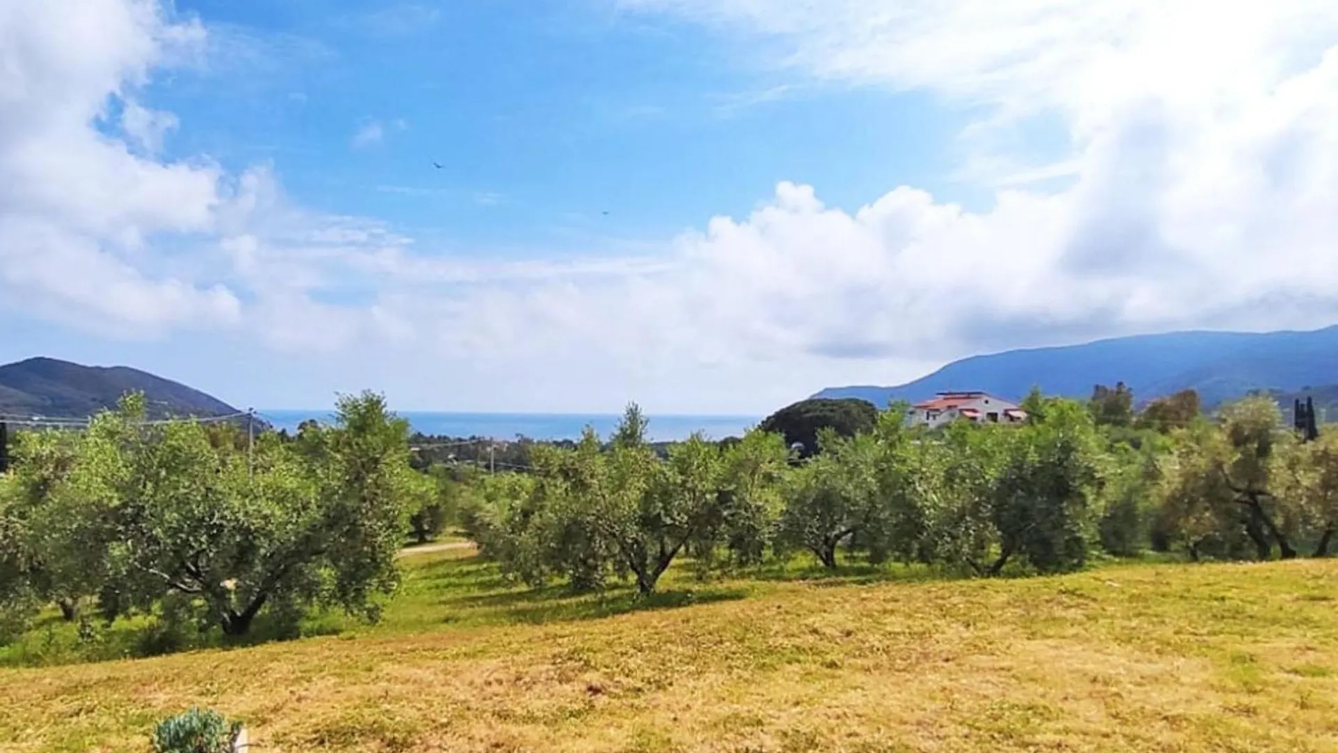 Villa Due Golfi Capoliveri  Italy